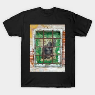 Gorilla in cage, Český Krumlov street art. T-Shirt